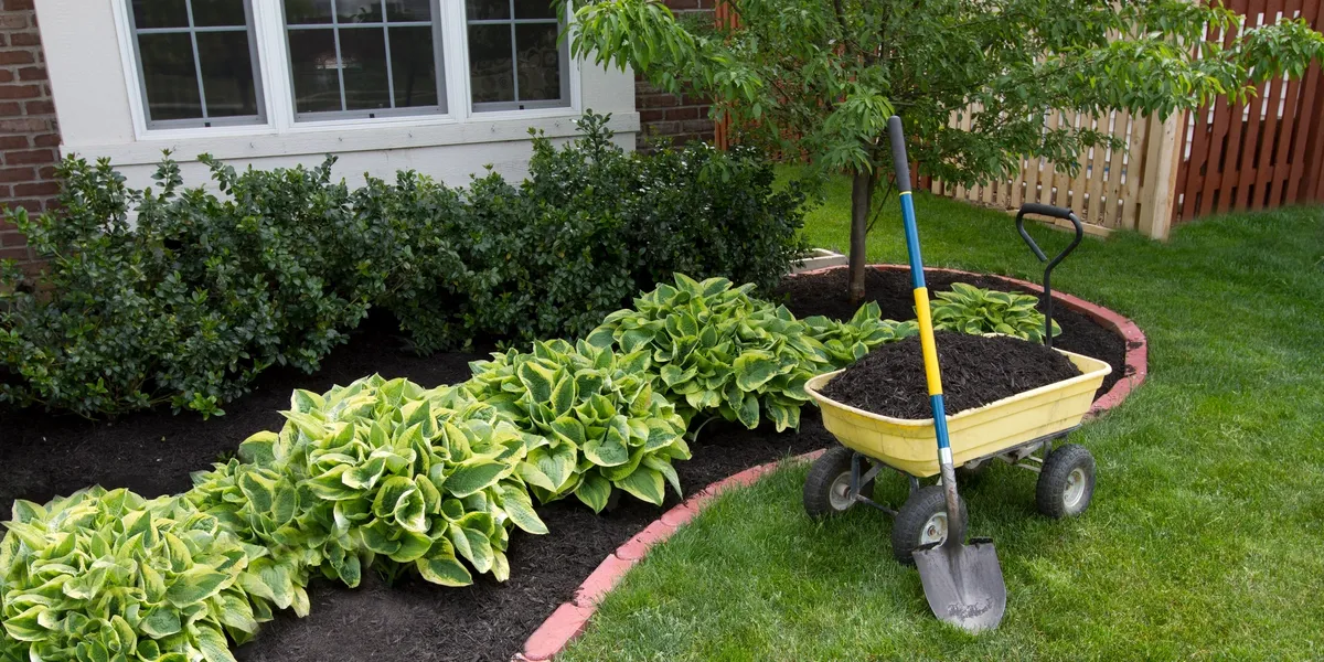 Soft Landscaping